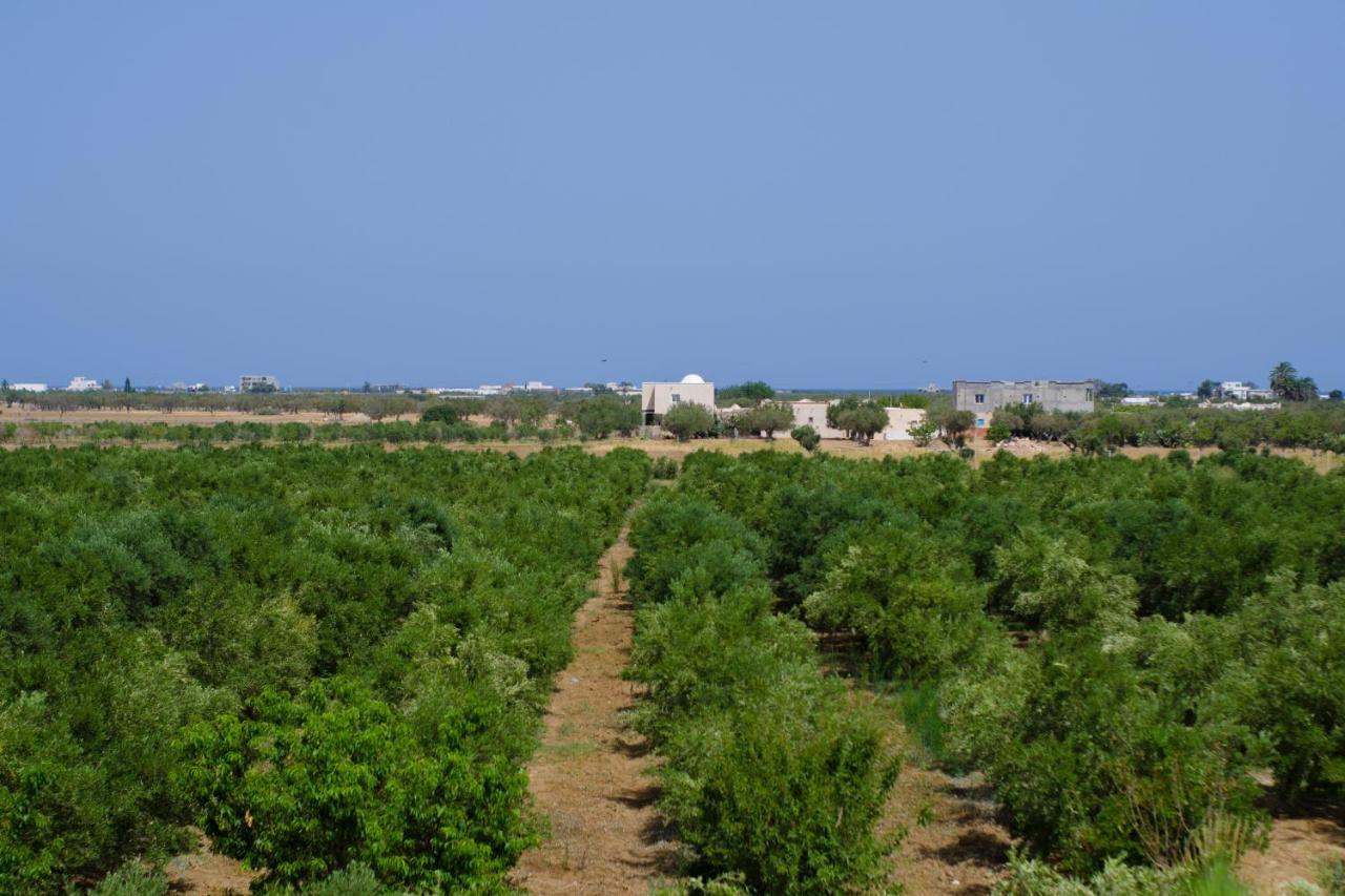 Villa Olivia, Yasmine Hammamet, Bouficha Екстер'єр фото