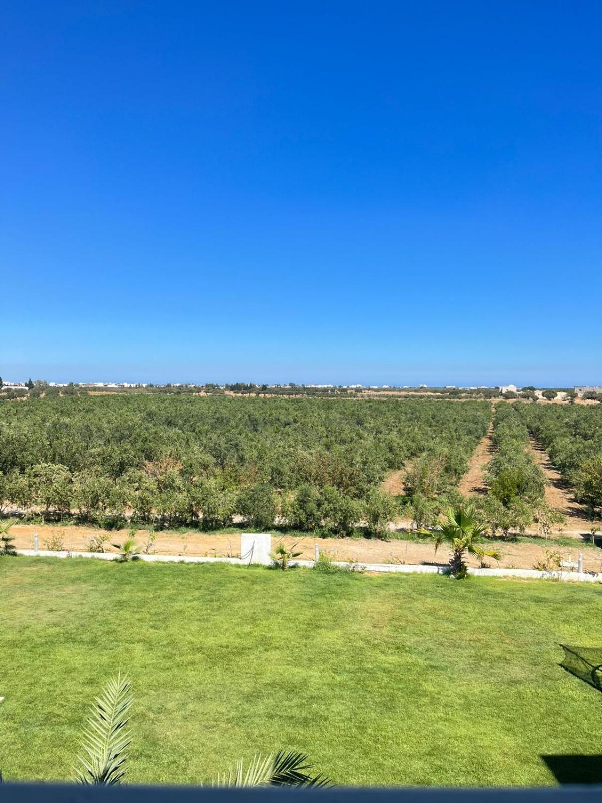 Villa Olivia, Yasmine Hammamet, Bouficha Екстер'єр фото