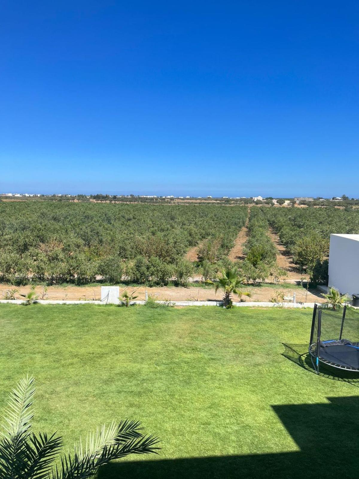 Villa Olivia, Yasmine Hammamet, Bouficha Екстер'єр фото