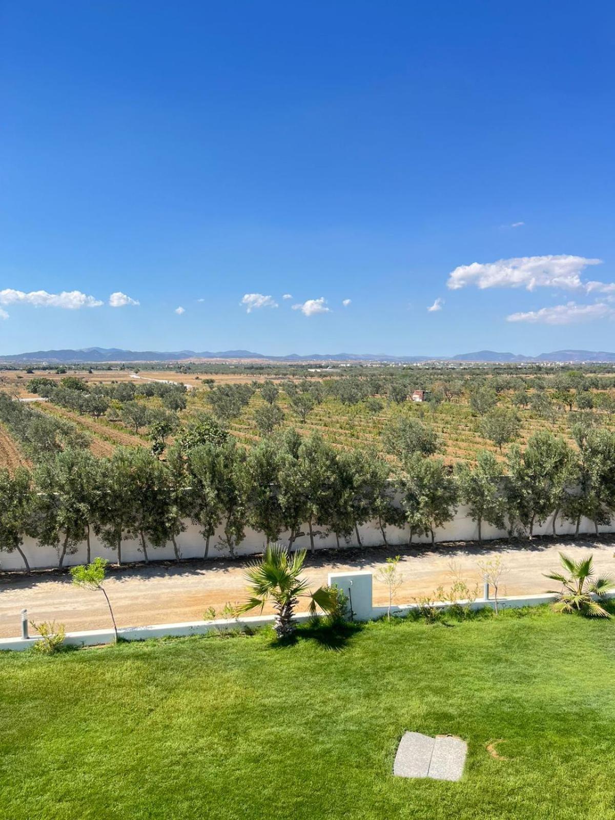 Villa Olivia, Yasmine Hammamet, Bouficha Екстер'єр фото